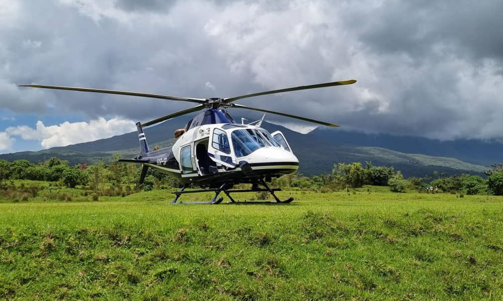 6 Days Helicopter Wildlife Safari Adventure in Rwanda