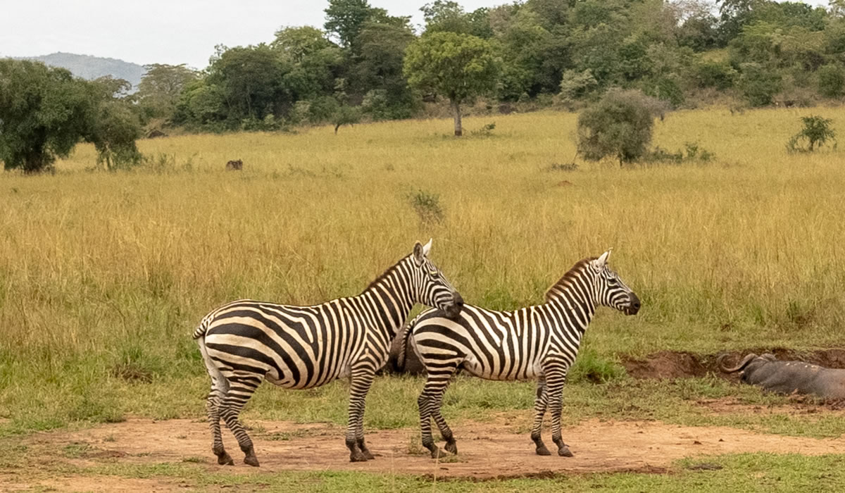 Lake Mburo National Park