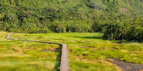 Semuliki National Park