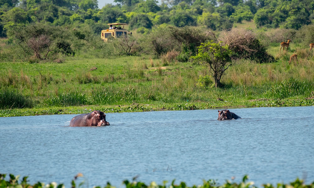 8 Days Wildlife Safari Adventure in Uganda